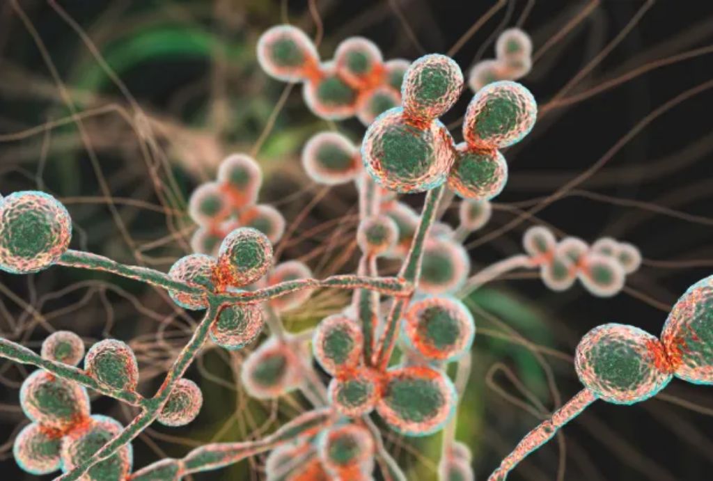 Deadly Virus in California Spreading Fast— Arizona At Risk Next!